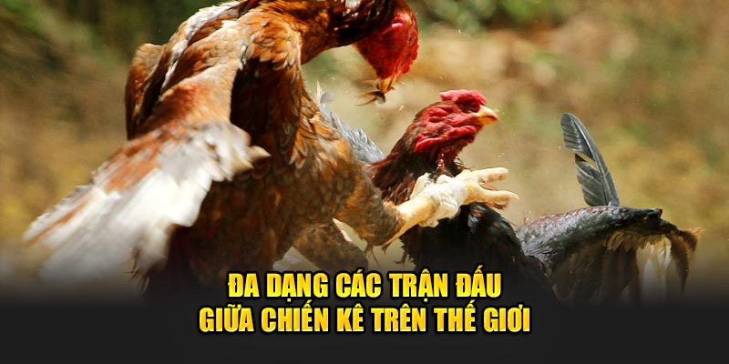 các loại hình thi đấu tại 188bet